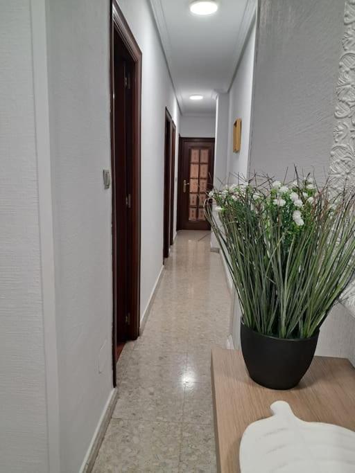 Alojamiento Comercio. Jaén Exteriör bild